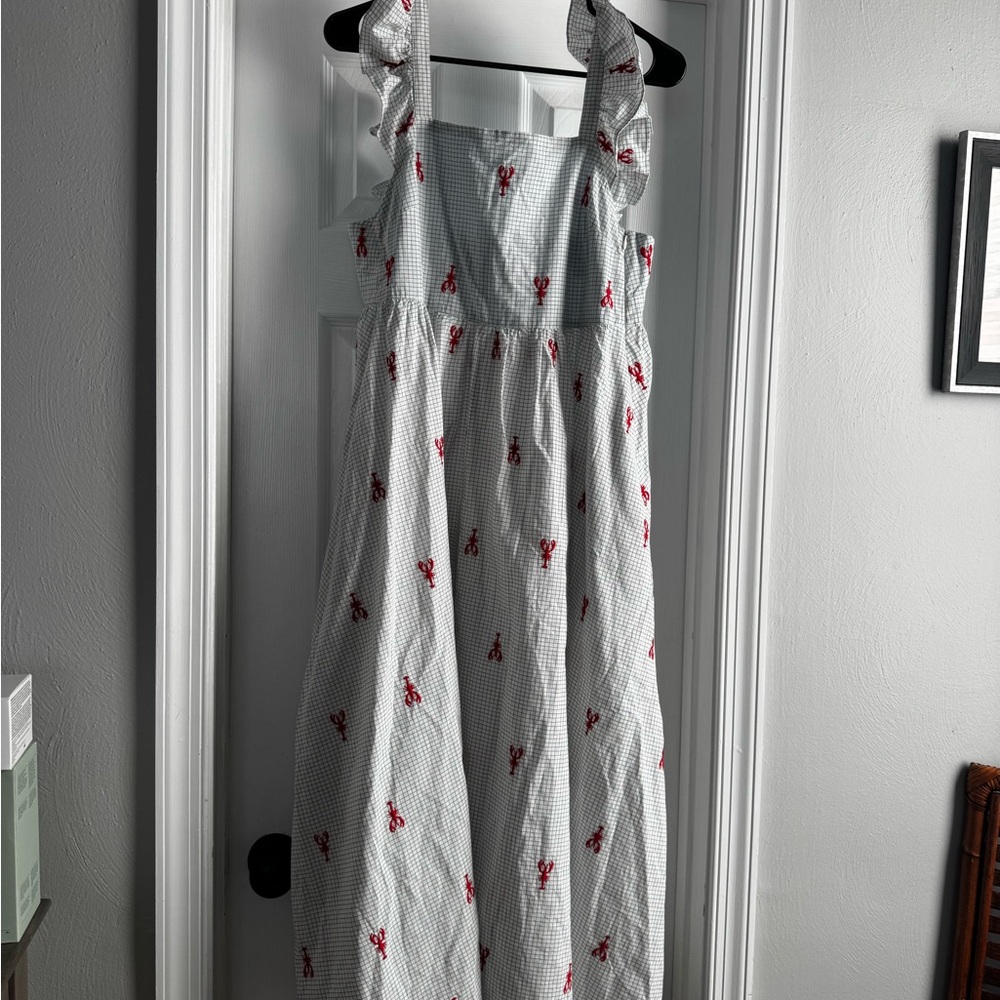 Pink Chicken Dress with Red Floral Embroidery